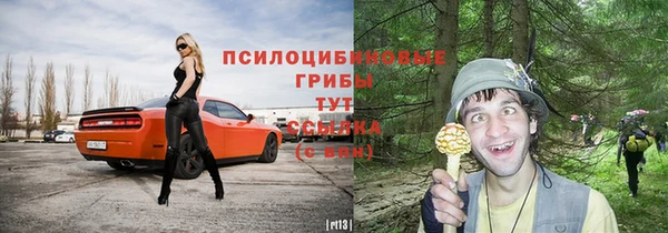 шишки Алексеевка