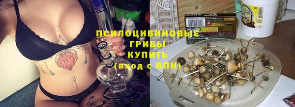шишки Алексеевка