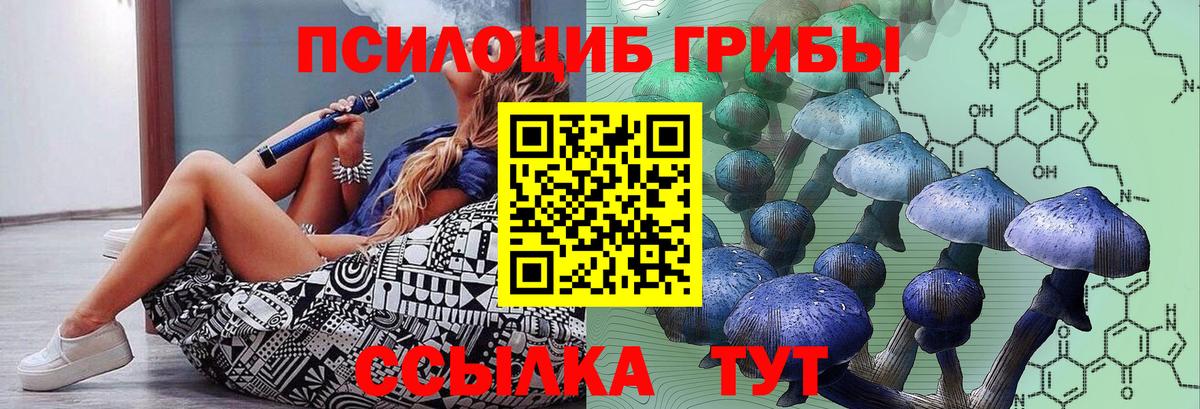 Псилоцибиновые грибы Psilocybine cubensis Еманжелинск